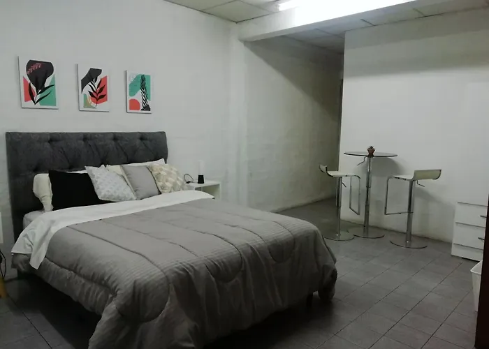 Clover Hostel